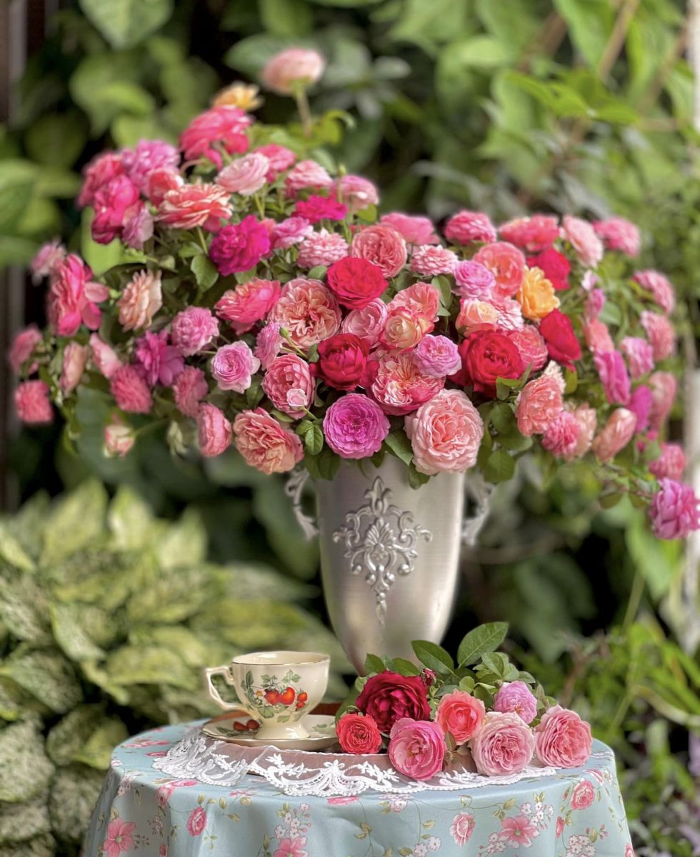 Tử vi hàng ngày - Thứ Bảy 29/10/2022 của 12 cung hoàng đạo